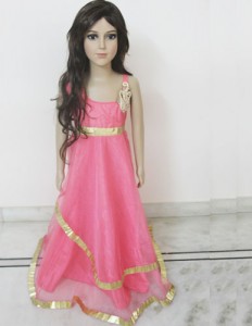 Floor Length Pink Net Dress
